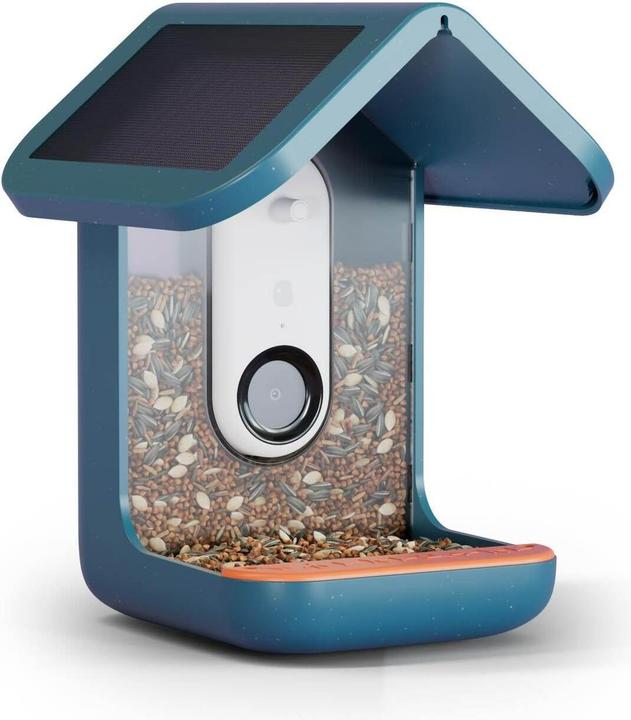 Bird Buddy Alimentatore intelligente per uccelli 2.0