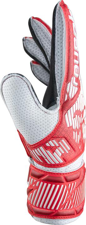 Actual product image Reusch Attrakt Solid Jr Torwarthandschuhe (8)