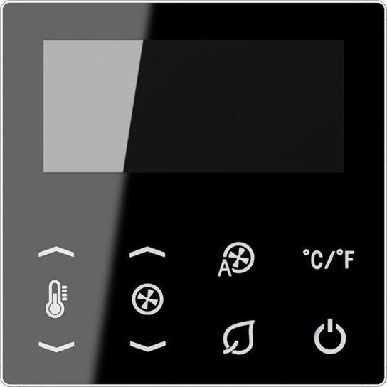 Image du produit JUNG Écran TRDA-DISPSW