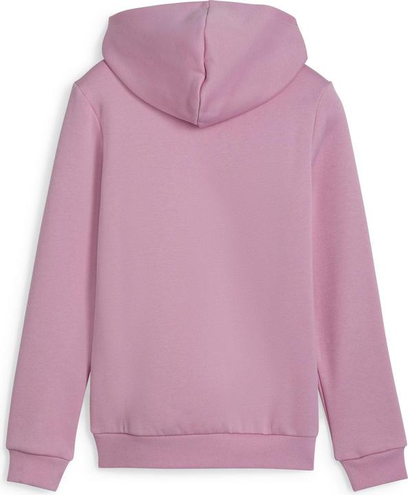 Actual product image Puma ESS Logo Hoodie FL G (128)