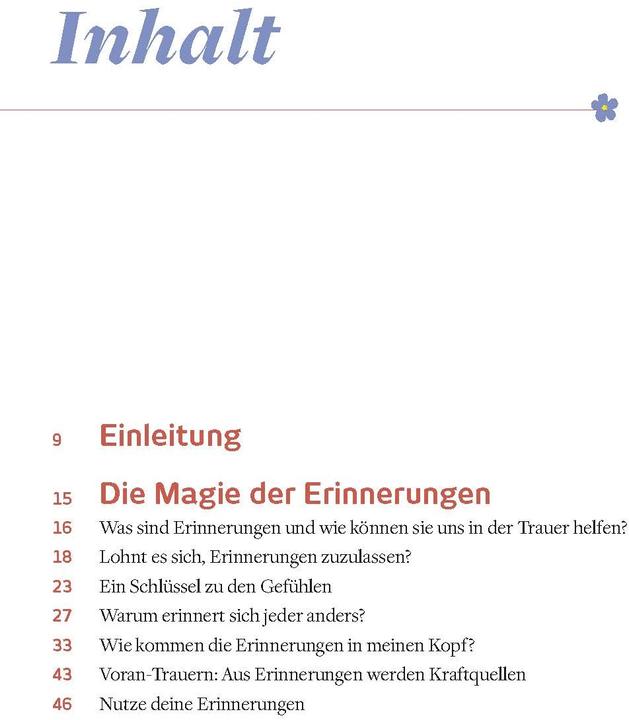 Produktbild Vergiss mein nie (Deutsch, Madita van Hülsen, 2016)