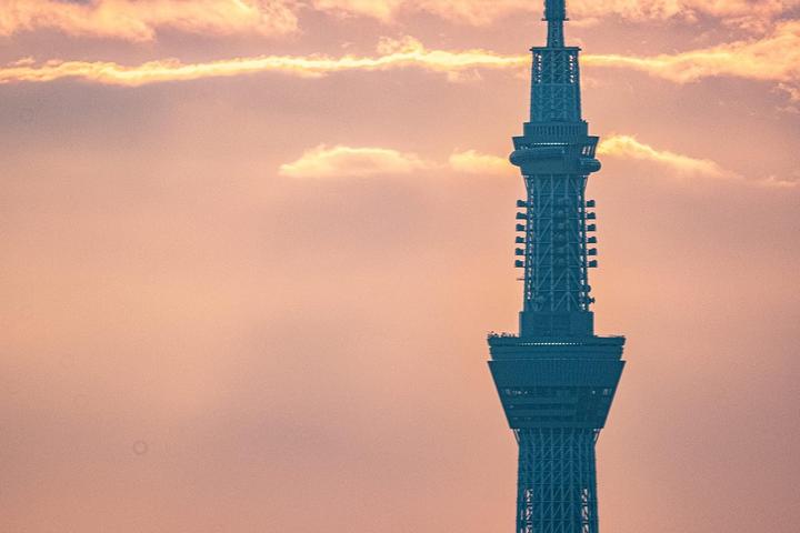 Actual product image Tokina SZ Pro 600mm f/7.1 MF (Sony E, APS-C / DX)