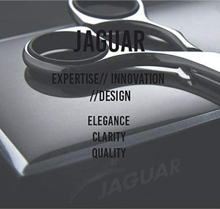 Image du produit Jaguar Ciseaux de modélisation HS 69600 CC 32 6.0" White Line (15.24 cm)