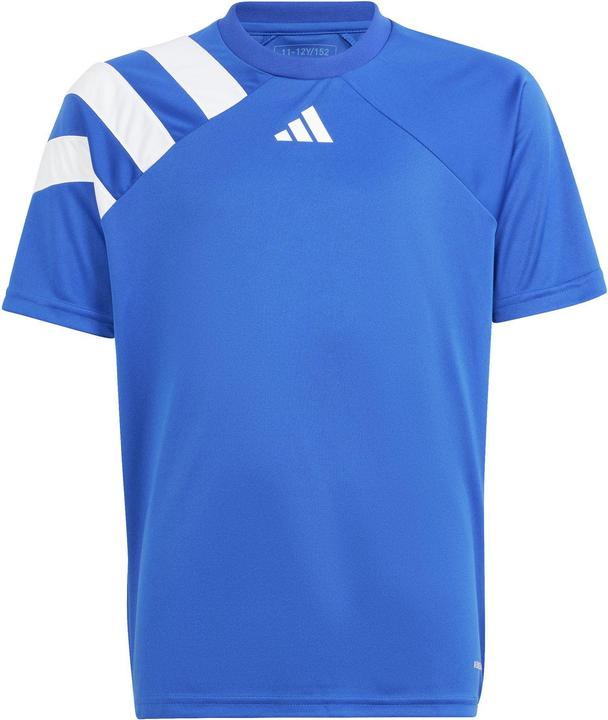 roybluwhite