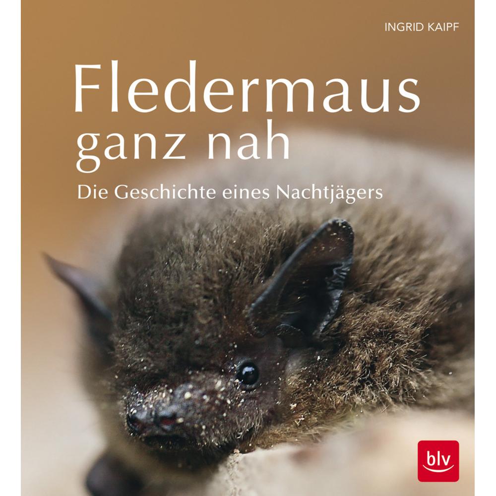 Fledermaus ganz nah, Ratgeber von Ingrid Kaipf