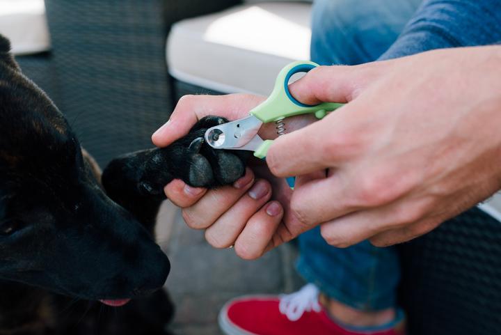Produktbild Zen Clipper Sichere Krallenschere (Katze, Hund)