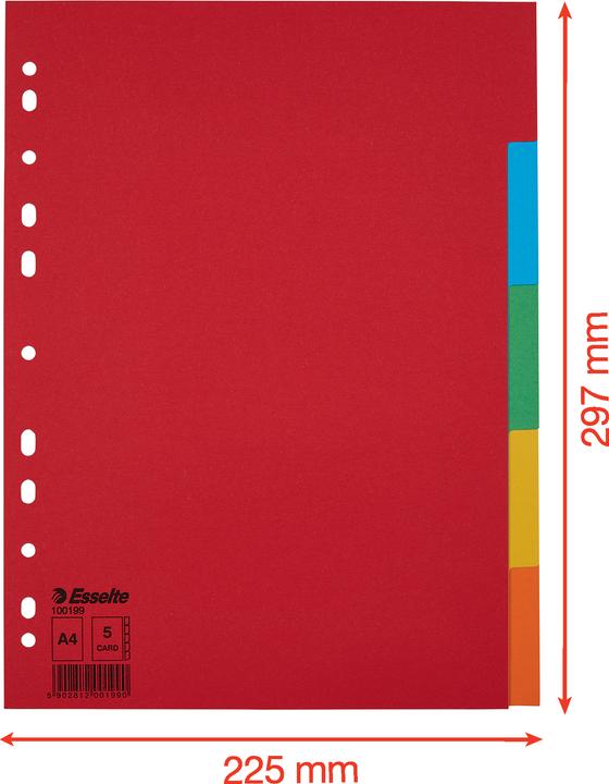 Produktbild Esselte Kartonregister Blanko