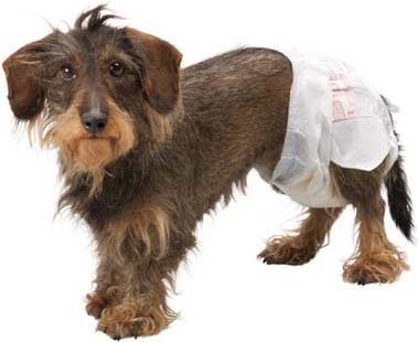 Produktbild Simple Solution Einwegwindel (Hund)