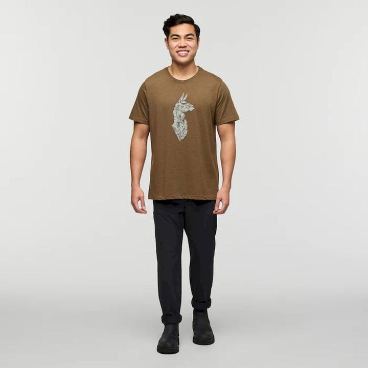 Actual product image Cotopaxi Into The Pines (S)