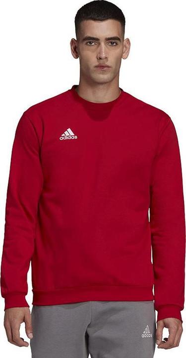 Produktbild Adidas Entrada 22 Sweatshirt (M)