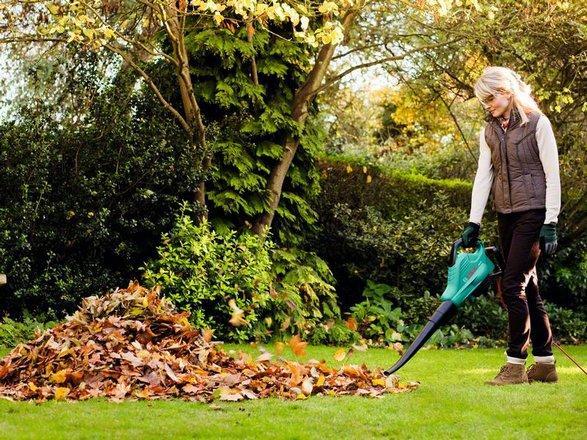 Actual product image Bosch Home & Garden ALS 25 EU version (Electrical connection, Leaf vacuums)