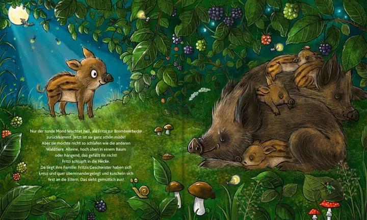 Produktbild Wie schläft der Wald? (Deutsch, Carina Wohlleben, Diana Kohne, Peter Wohlleben, 2023)