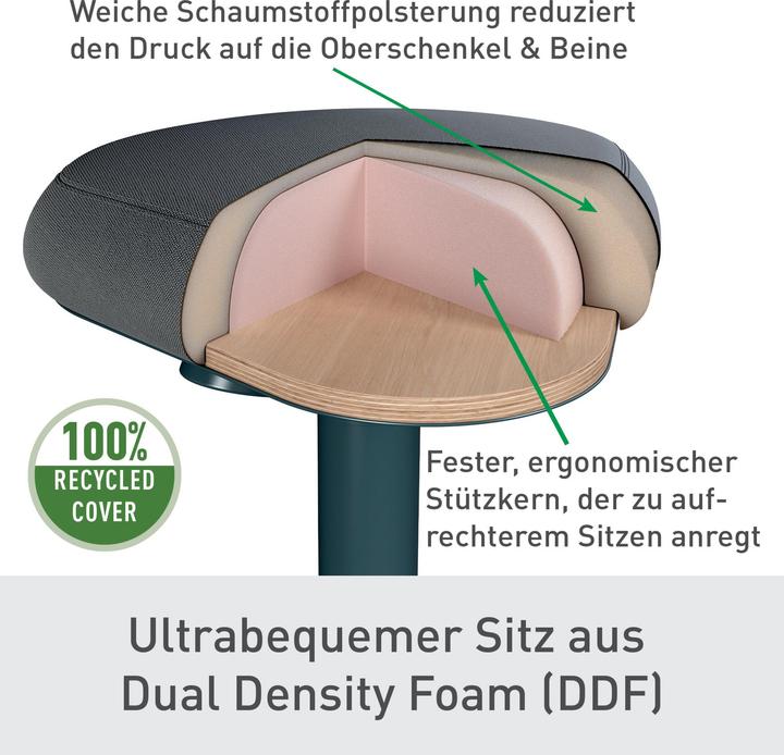 Actual product image Leitz Ergo Active