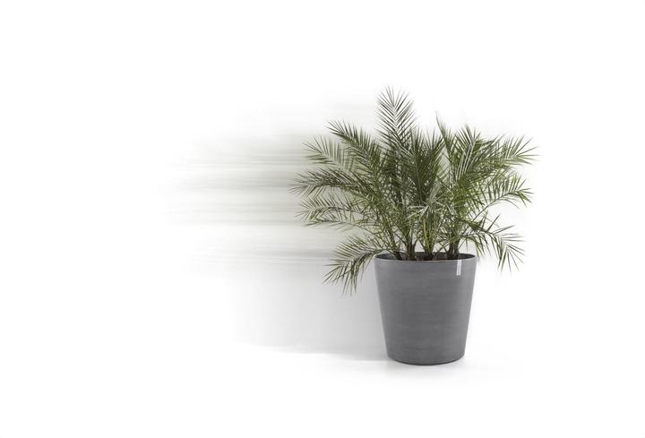 Actual product image Ecopots Amsterdam Wheels (60 cm)