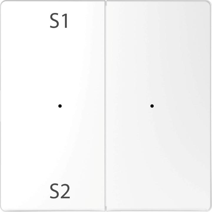 Produktbild Merten Wippen für Taster-Modul 2fach (Szene1/2, MEG5226-6035