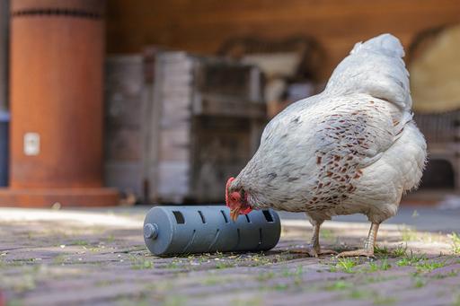 Actual product image Beeztees Feeding Station Chickens Snack Roller, Grey
