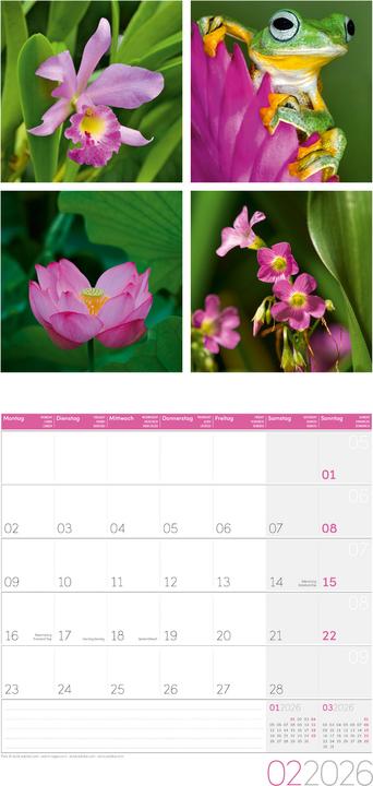 Image du produit Colours of Nature Kalender 2026 - 30x30 (30 x 30 cm, Couverture rigide, Français, Anglais, Italien)