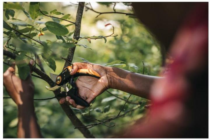 Produktbild Fiskars Plus PowerLever Bypass Secateurs P721