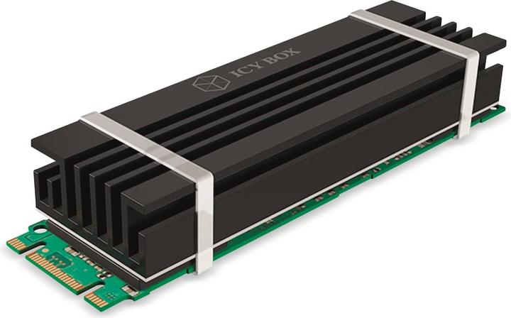 Immagine prodotto Icy Box IB-M2HS-70