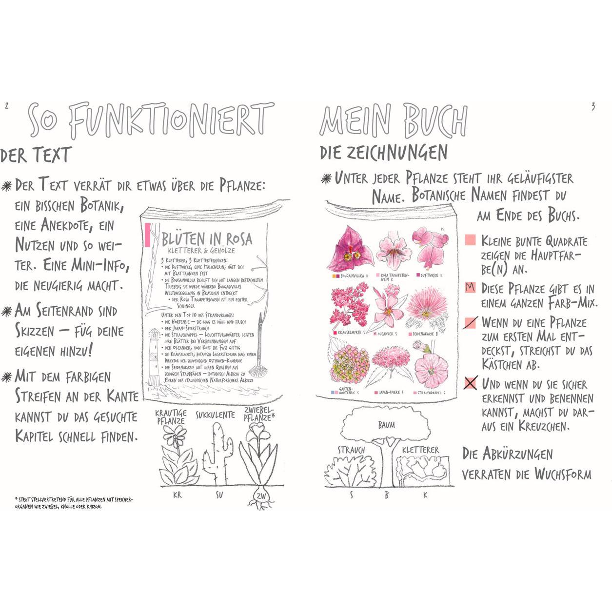 Thumbnail - Ich sehe was, was ich nicht kenn', Ratgeber von Marine Cressy