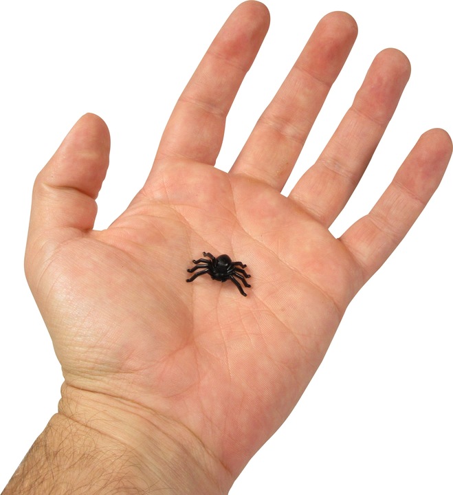 Produktbild PhoneLook Kleine Spinne plastik (1 Stück)