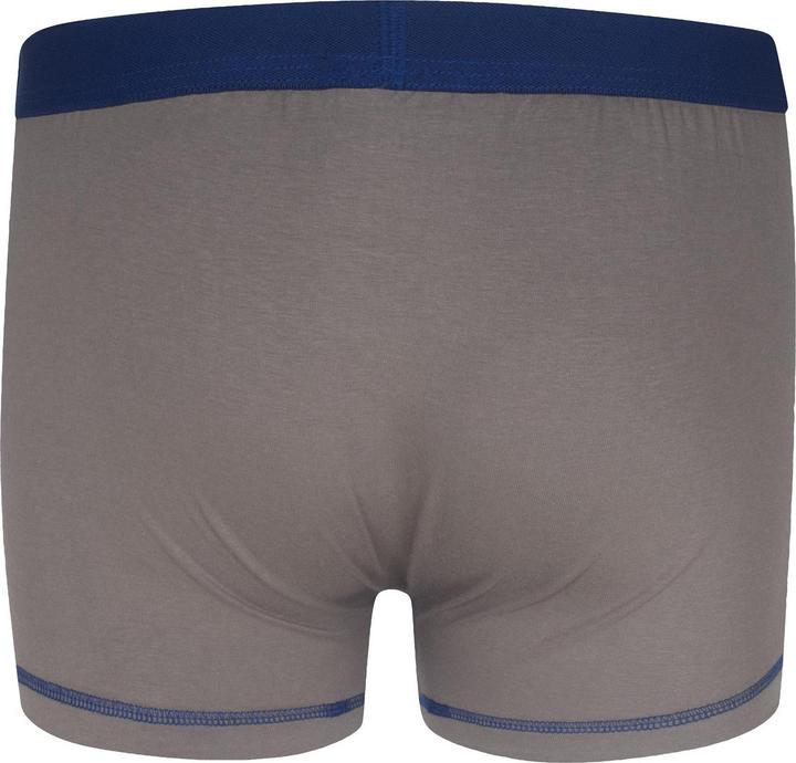 Immagine prodotto Tottenham Hotspur FC Boxer Ragazzi (128)