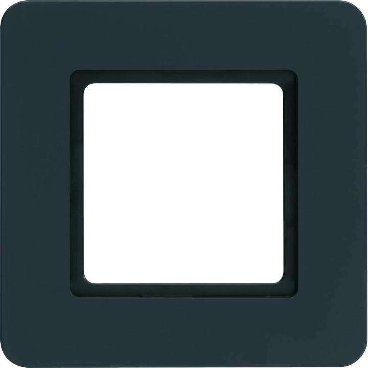 Actual product image Berker 10116106