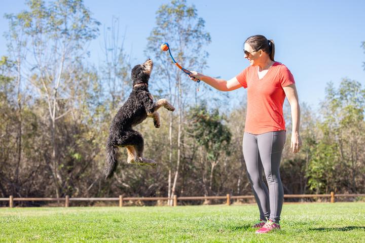 Produktbild Chuckit! CHUCKIT Hent og fold mini 18M launcher (Hund, Hundesport)