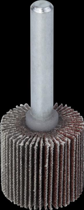 Produktbild wolfcraft wolfcraft 1 Fächerschleifer S=6mm K120 ø20x20mm (120)