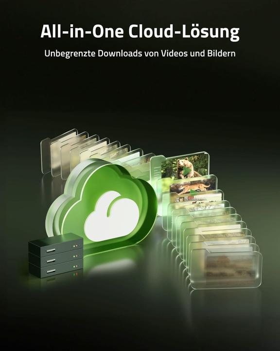 Actual product image Reolink Camovue Talon Pro wildlife camera