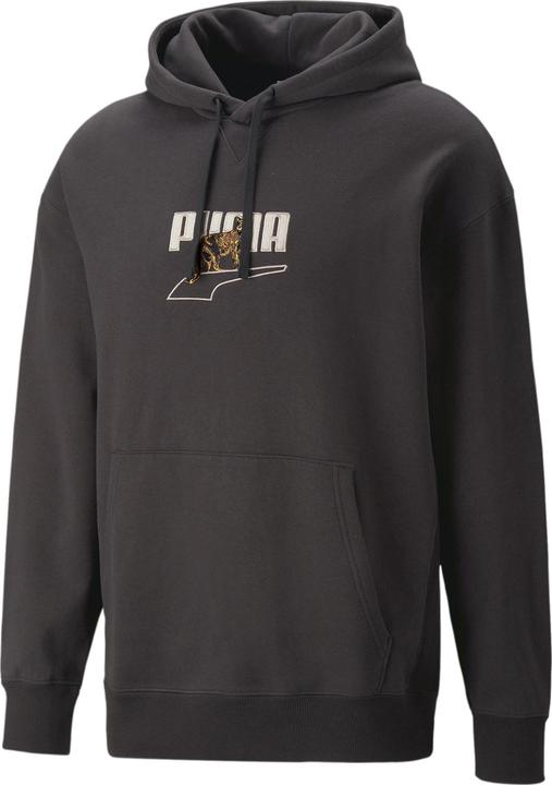 Puma DOWNTOWN Graphic Hoodie TR (L)