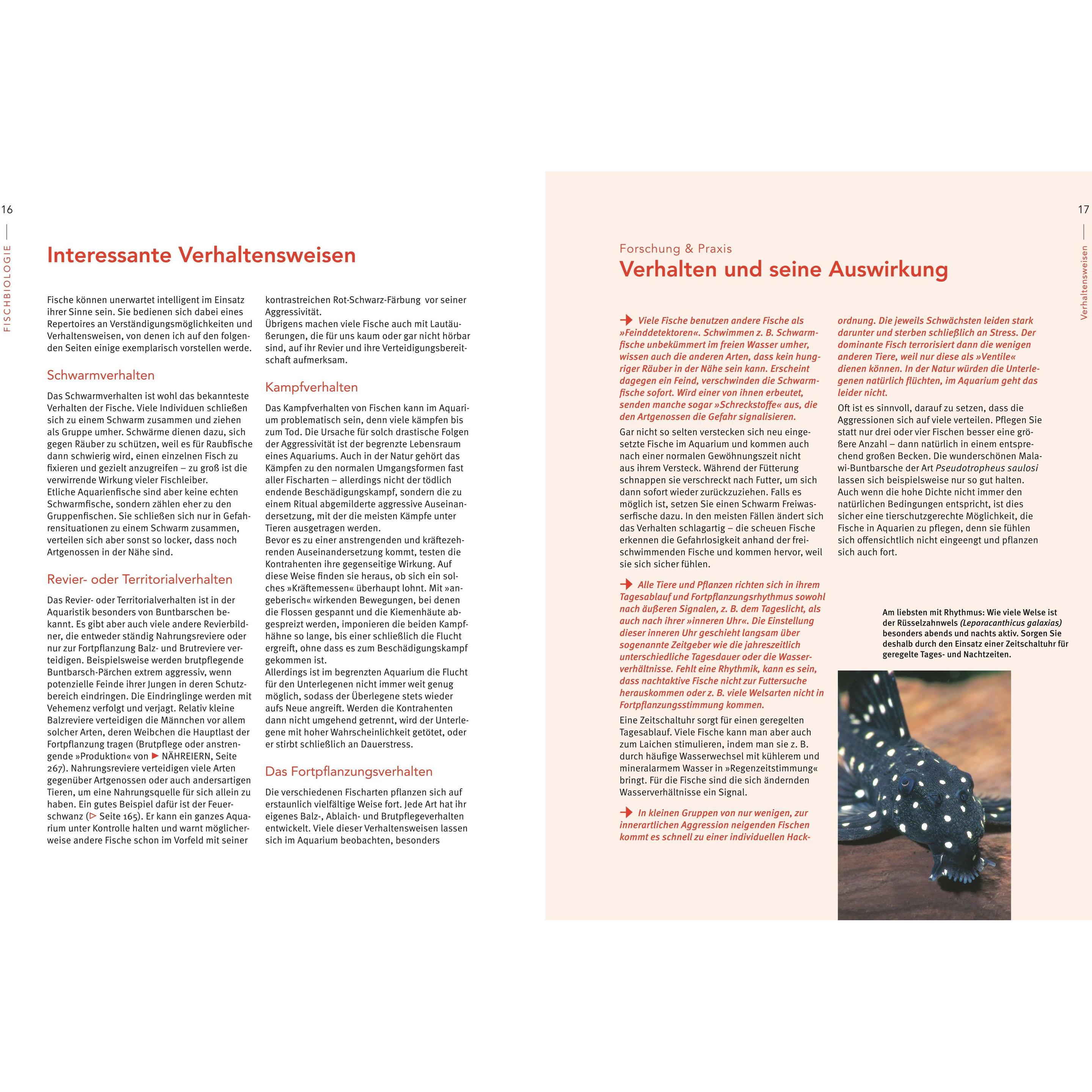 Thumbnail - Das grosse Praxishandbuch Aquarium, Ratgeber von Ulrich Schliewen