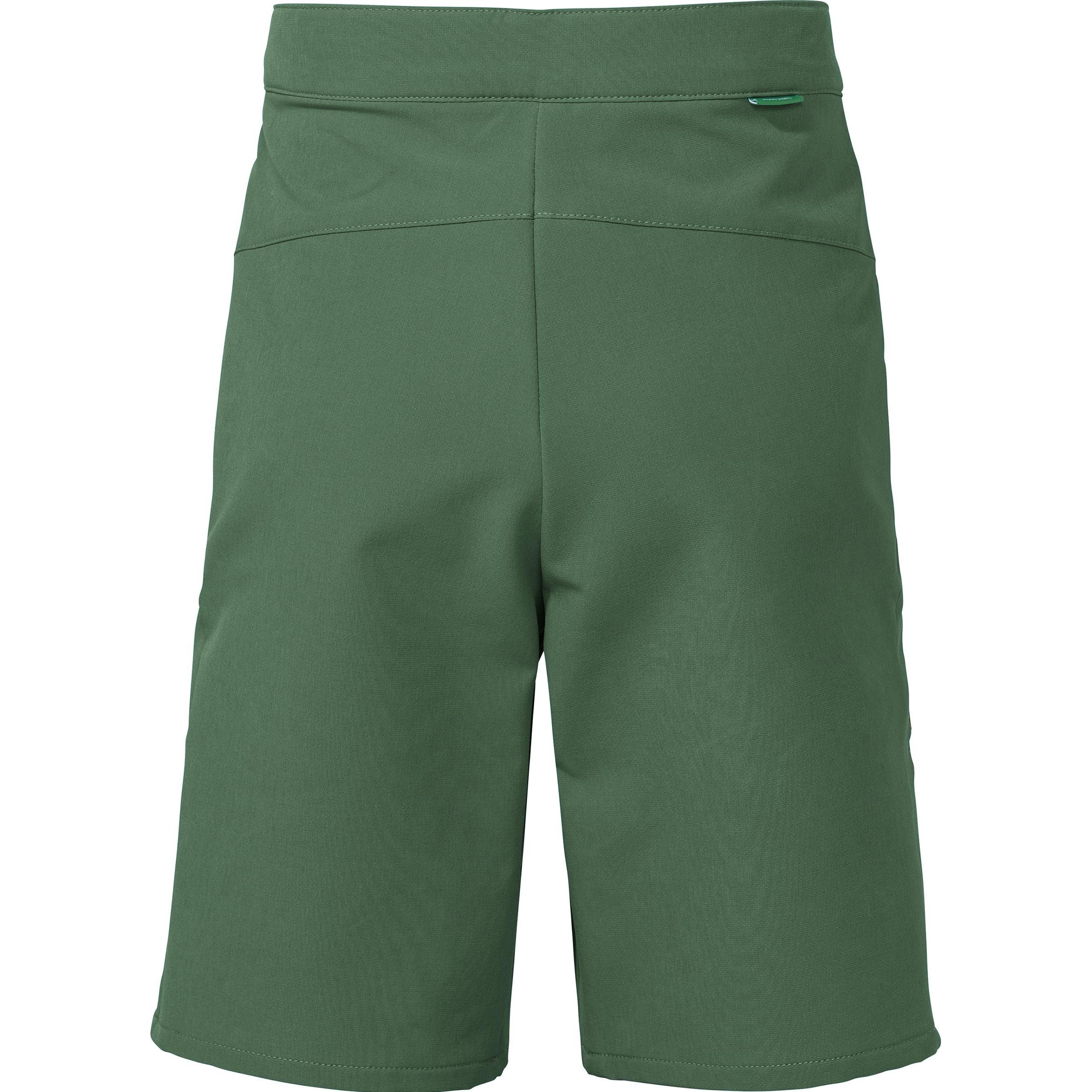 Vaude, Damen, Outdoorhose, Badile II (158, 164), Grün, 158, 164