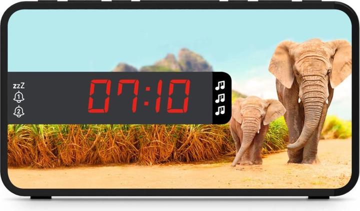 Actual product image Bigben Safari