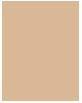 Image du produit Sisley Phyto Teint Nude No 2N (2N Ivory Beige)