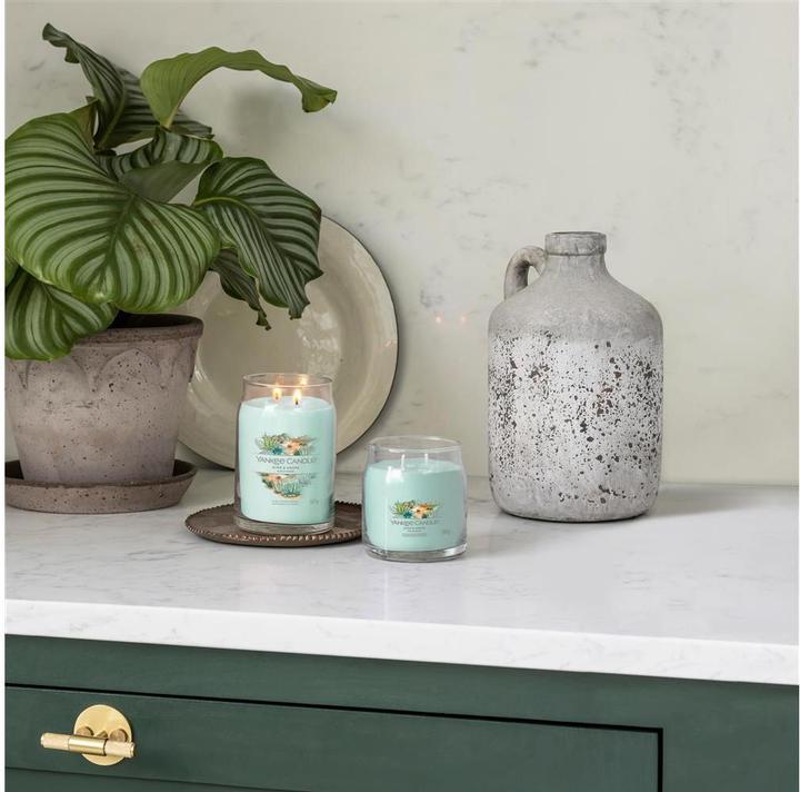 Actual product image Yankee Candle Aloe & Agave