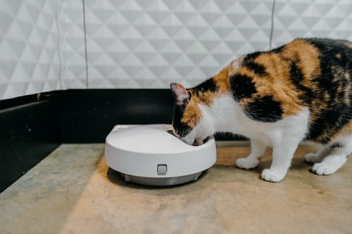 Image du produit Cat Mate Futterautomat C500