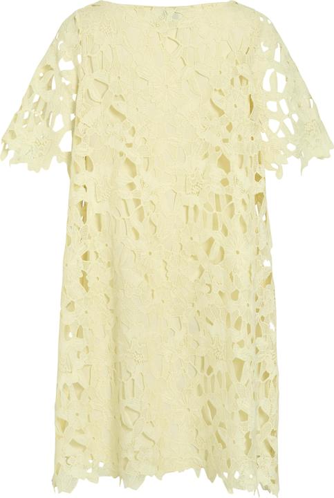 Produktbild Vila VISIENNA Spitzen Minikleid (38)