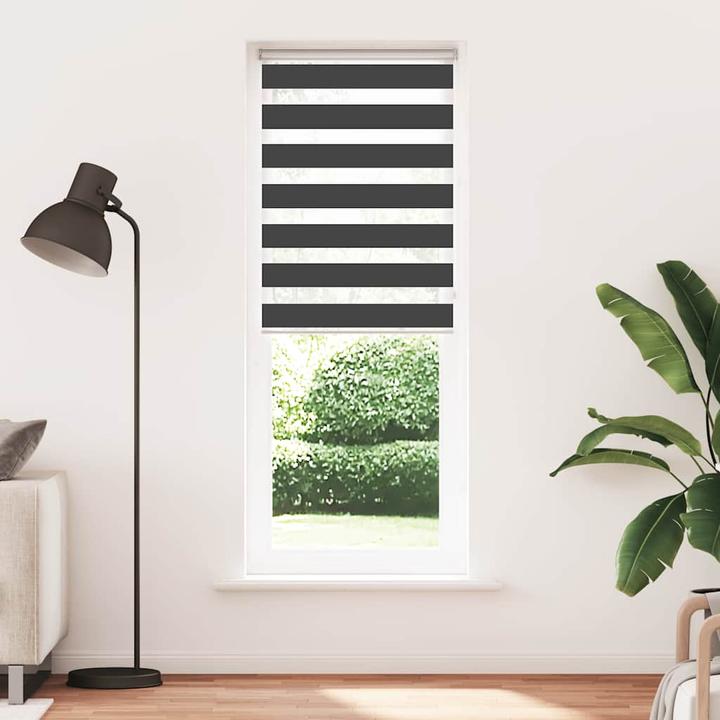 Produktbild vidaXL Zebra-Jalousie (75 x 200 cm)