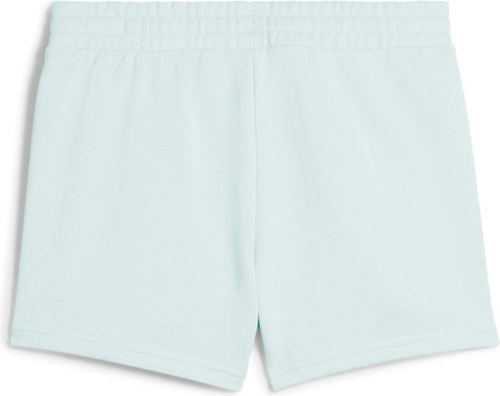 Actual product image Puma ESS Small No. 1 Logo 4" Shorts TR (s) (L)