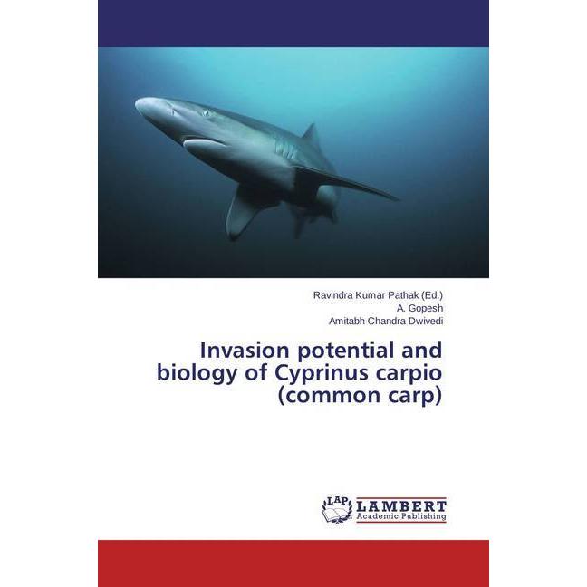 Invasion potential and biology of Cyprinus carpio (common carp), Fachbücher von Amitabh Chandra Dwivedi, A. Gopesh