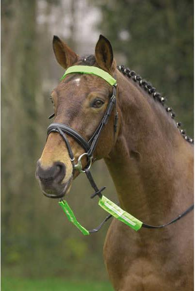 Immagine prodotto Waldhausen Set Snaffle Reflex