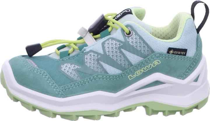 Produktbild Lowa Maddox Pro GTX LO (40)