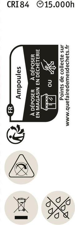 Image du produit Paulmann Socle à broches (G4, 3 W, 300 lm, 1 x, F)