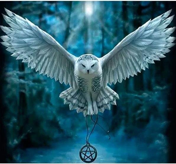 Produktbild Norimpex 5D-Diamantmosaik - Eule 40x30cm