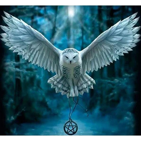 Norimpex 5D-Diamantmosaik - Eule 40x30cm