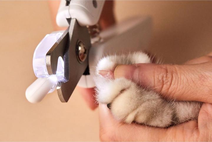Immagine prodotto Petkit Tagliaunghie (Gatto, Cane)
