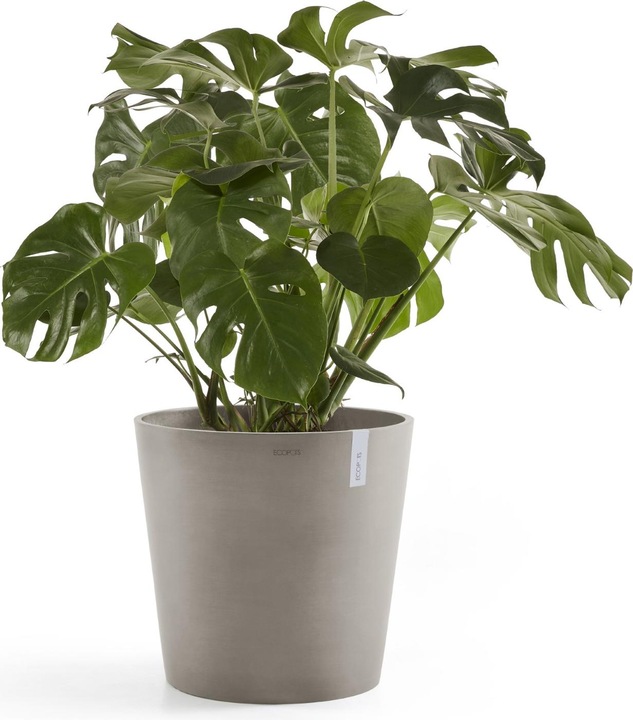 Immagine prodotto Ecopots Amsterdam (30 cm)