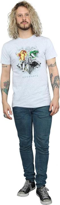 Image du produit - T-shirt HOGWARTS PAINTED CREST - Homme (L)