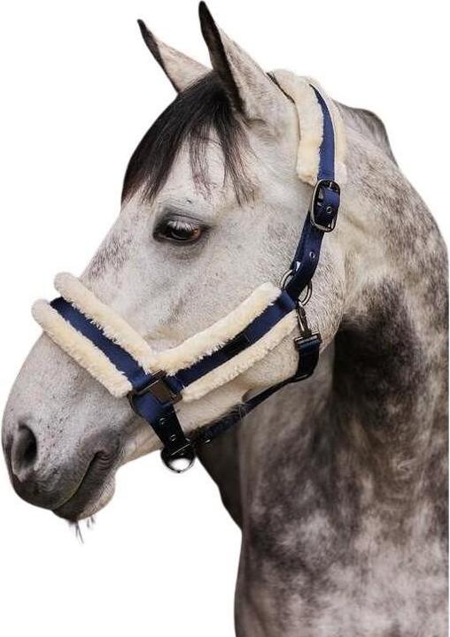 Actual product image Horze Marquess